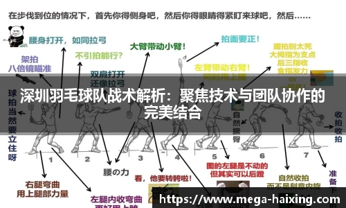深圳羽毛球队战术解析：聚焦技术与团队协作的完美结合